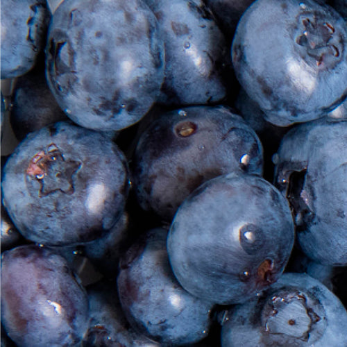 Arándano azul, la fruta que contribuye tanto en tu bienestar general como en tu salud capilar