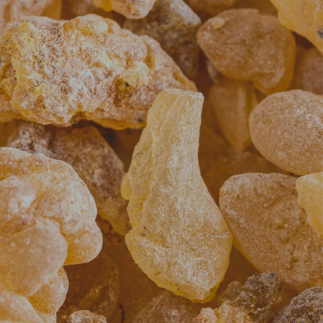 Boswellia serrata: un potente antiinflamatorio natural en Olistic Next