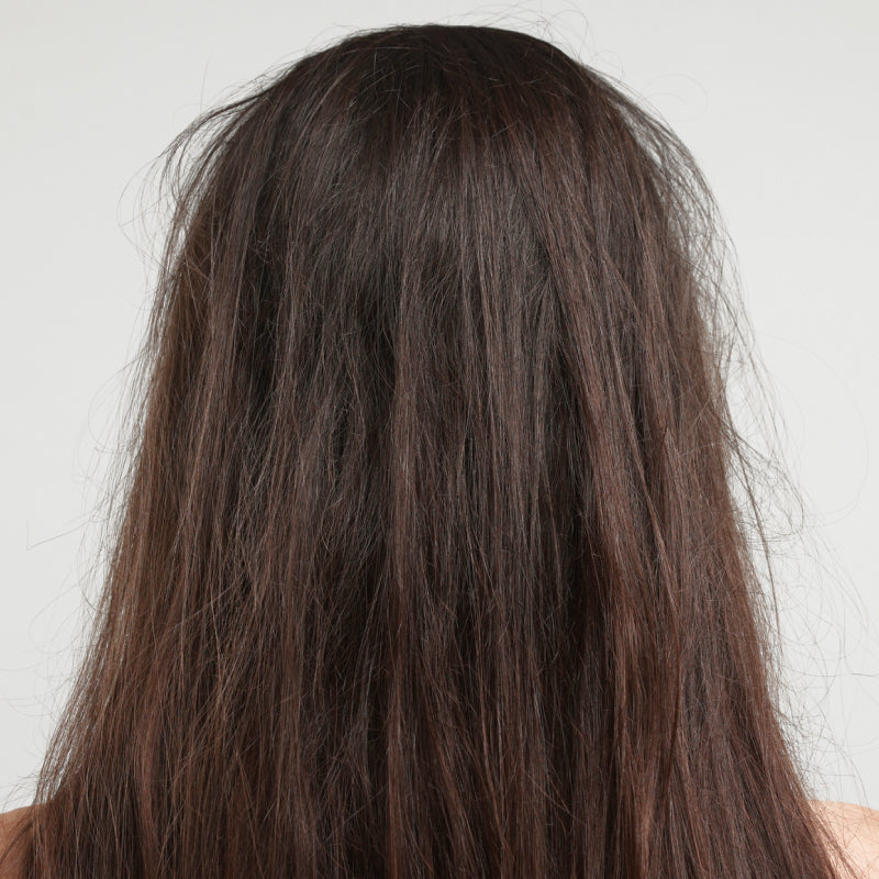 101: Trockene Haare, Haarbruch und Co. - Eure Anliegen, unsere Tipps