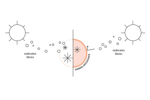 Prepara tu cabello y tu piel para el sol con Olistic y sus antioxidantes - Blog Olistic
