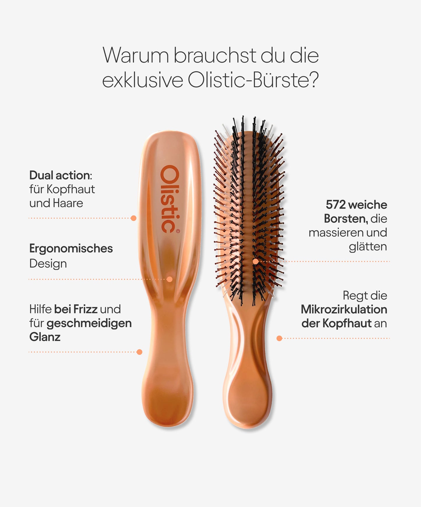 Olistic Burste: The ibrush