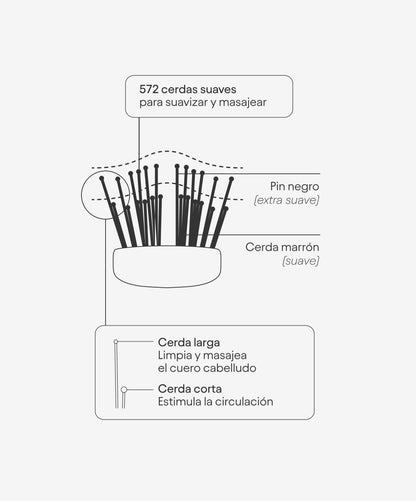 Olistic - características cepillo 