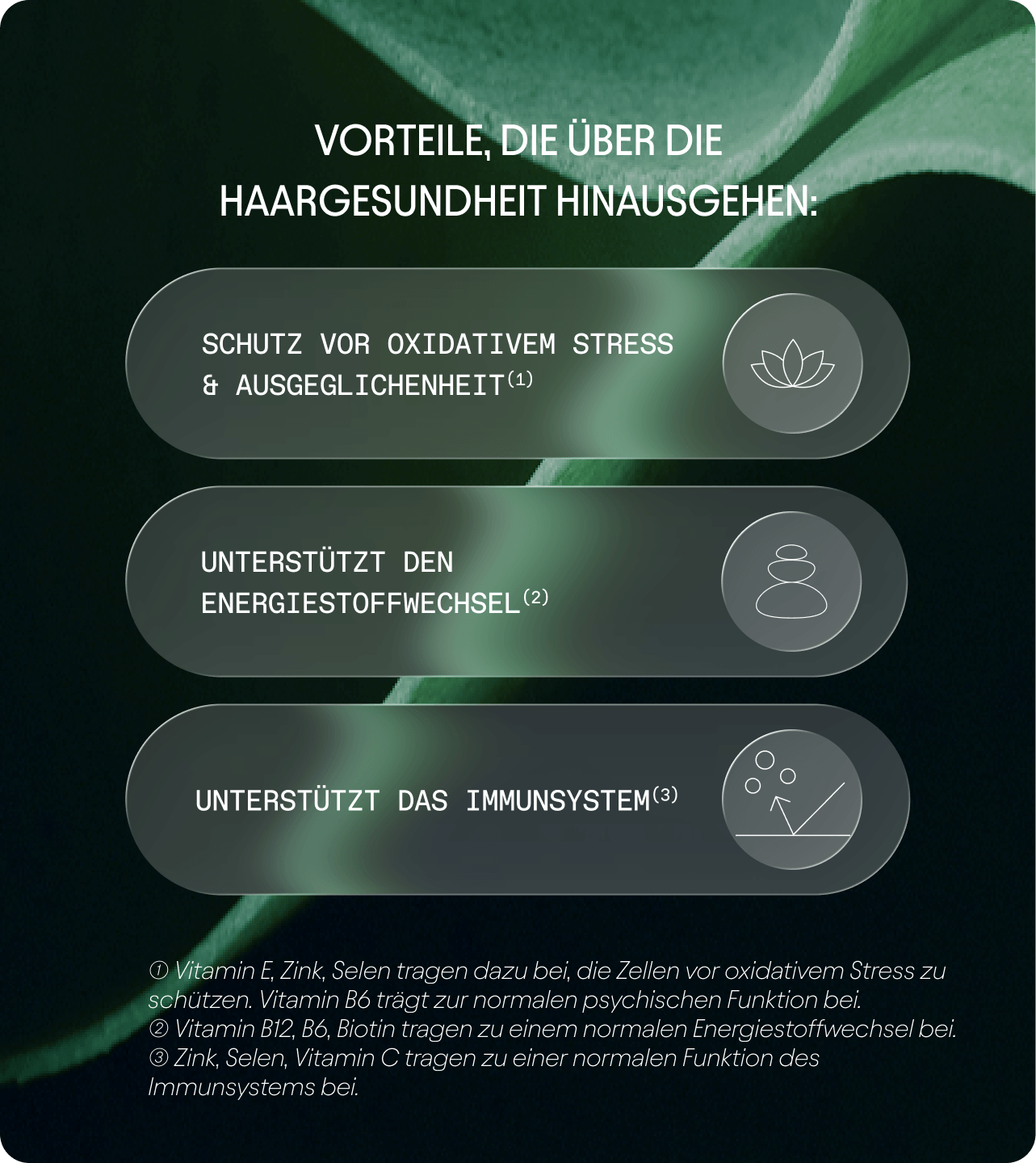 Olistic Men 3-Monats-Lieferung