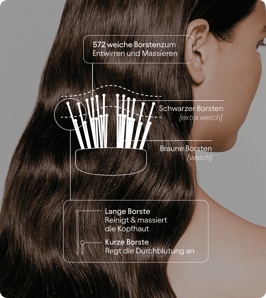 Olistic Burste: The ibrush