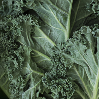 L-Cystein – Aminosäure, Inhaltsstoff von Olistic Women