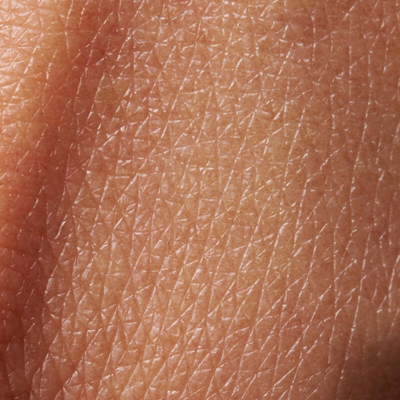 Aminosäuren als Kollagenvorstufen – Inhaltsstoff von Olistic 