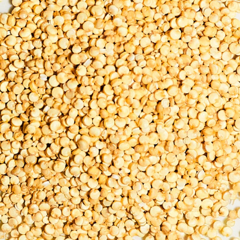 Hirse (Panicum miliaceum) – Inhaltsstoff von Olistic 