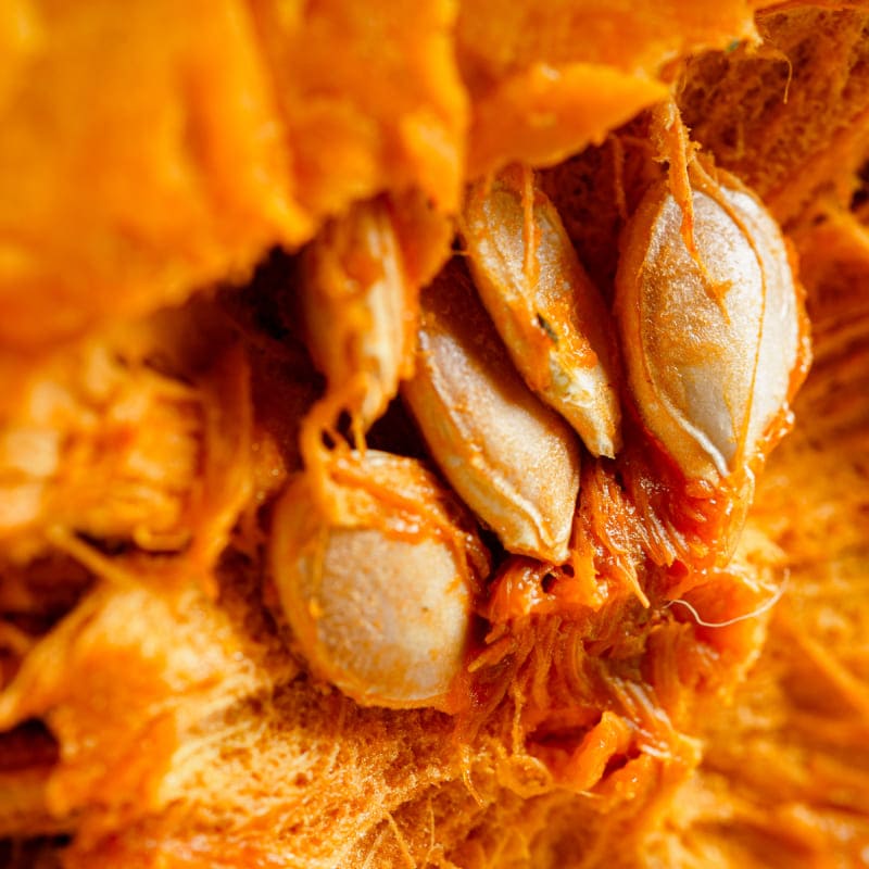 Kürbiskerne – Inhaltsstoff von Olistic