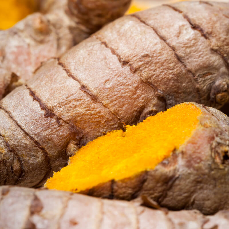 Kurkuma Cursol® (Curcuma longa) – Inhaltsstoff von Olistic 