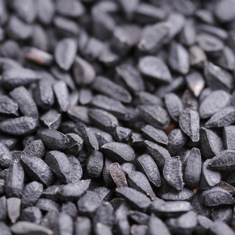 Schwarzkümmel (Nigella sativa) – Inhaltsstoff von Olistic 