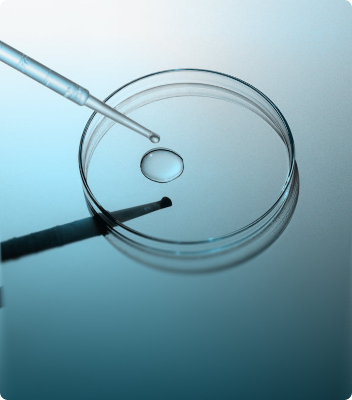 "Hair Longevity-Evidence for a Multifactorial Holistic Approach to Managing Hair Aging Changes"