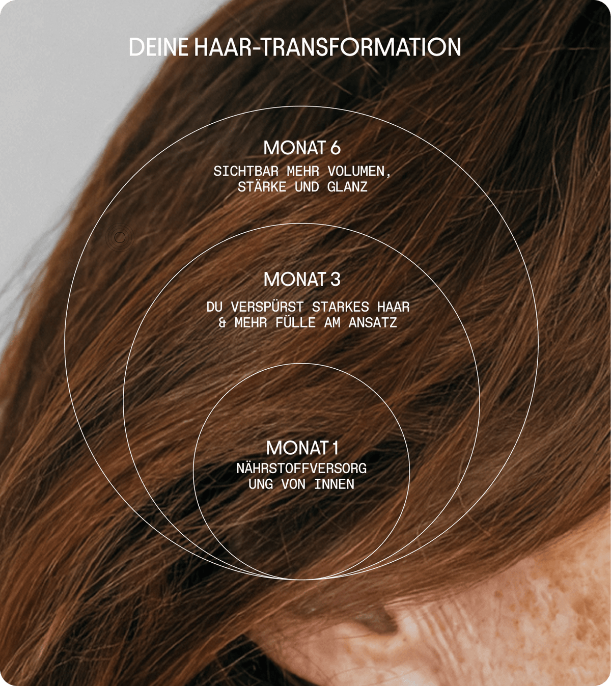 Olistic Women Next