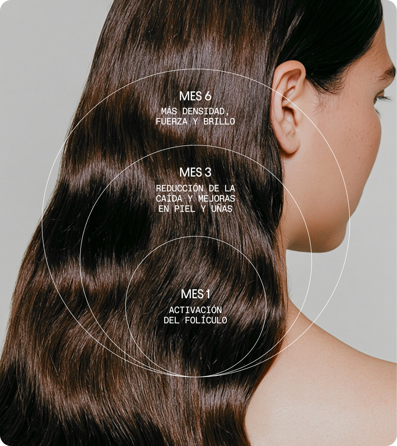 Olistic Women