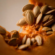 semillas de calabaza - ingredientes Olistic