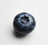 arandano azul - ingredientes Olistic
