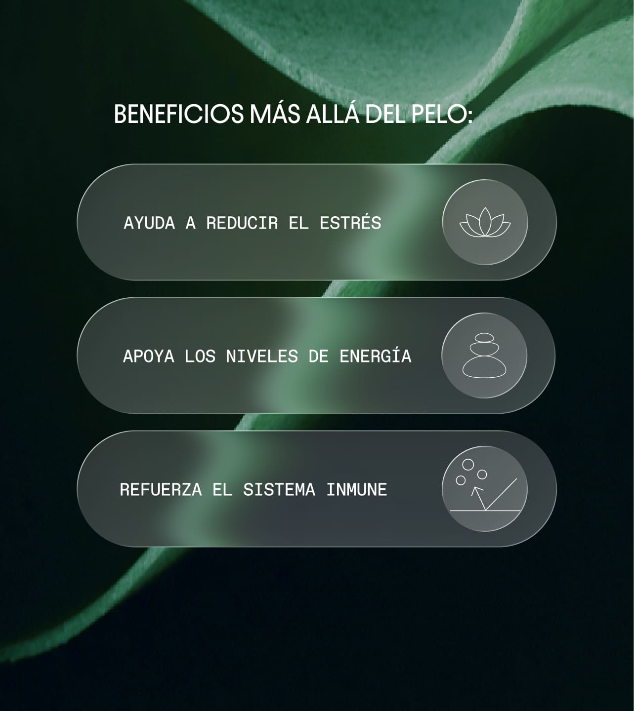 Beneficios - Olistic Men tratamiento anticaída capilar 