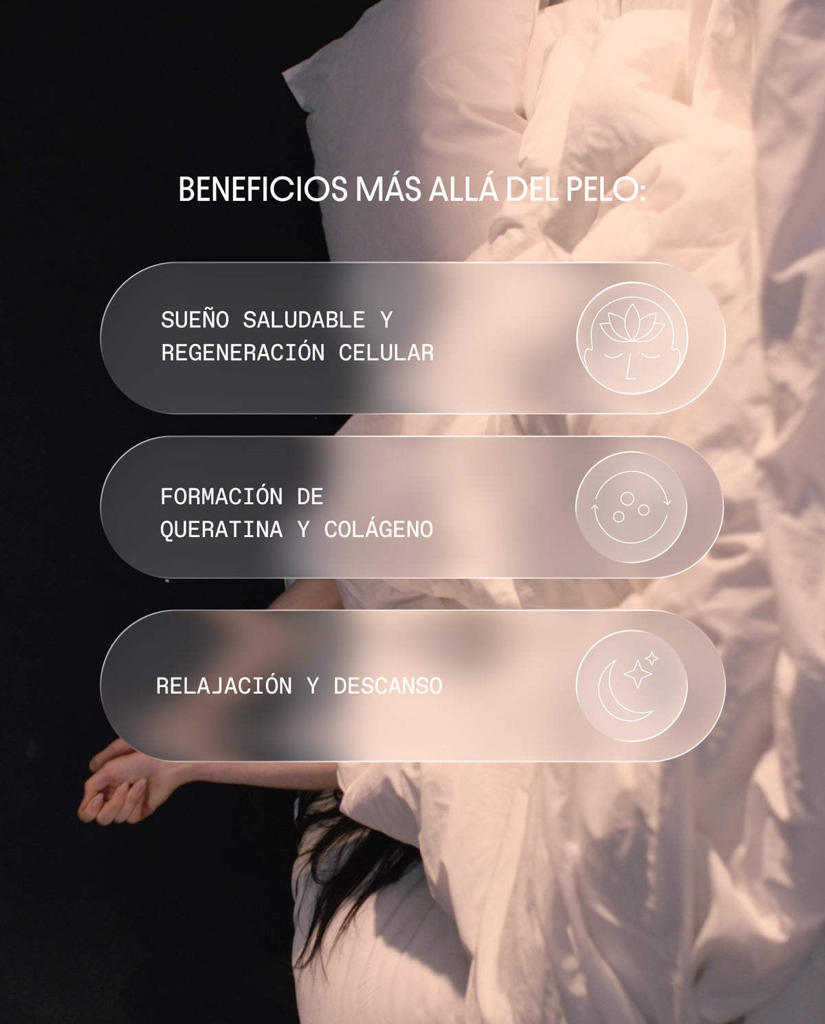 Olistic Night Trimestral